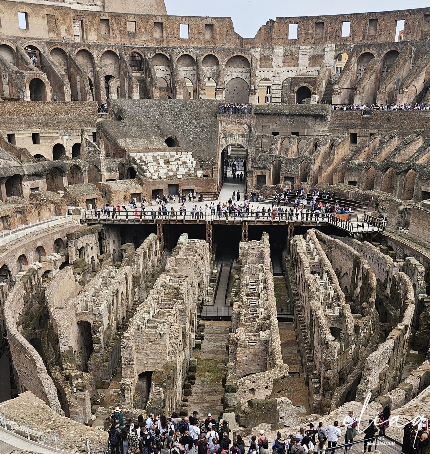 rivelazioni scioccanti dal colosseo!