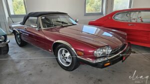 20240809 double red museum brezno 25