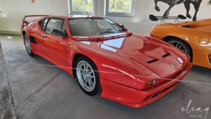 20240809 double red museum brezno 75