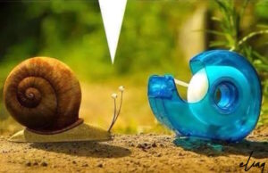 fun-plastic-snail-1