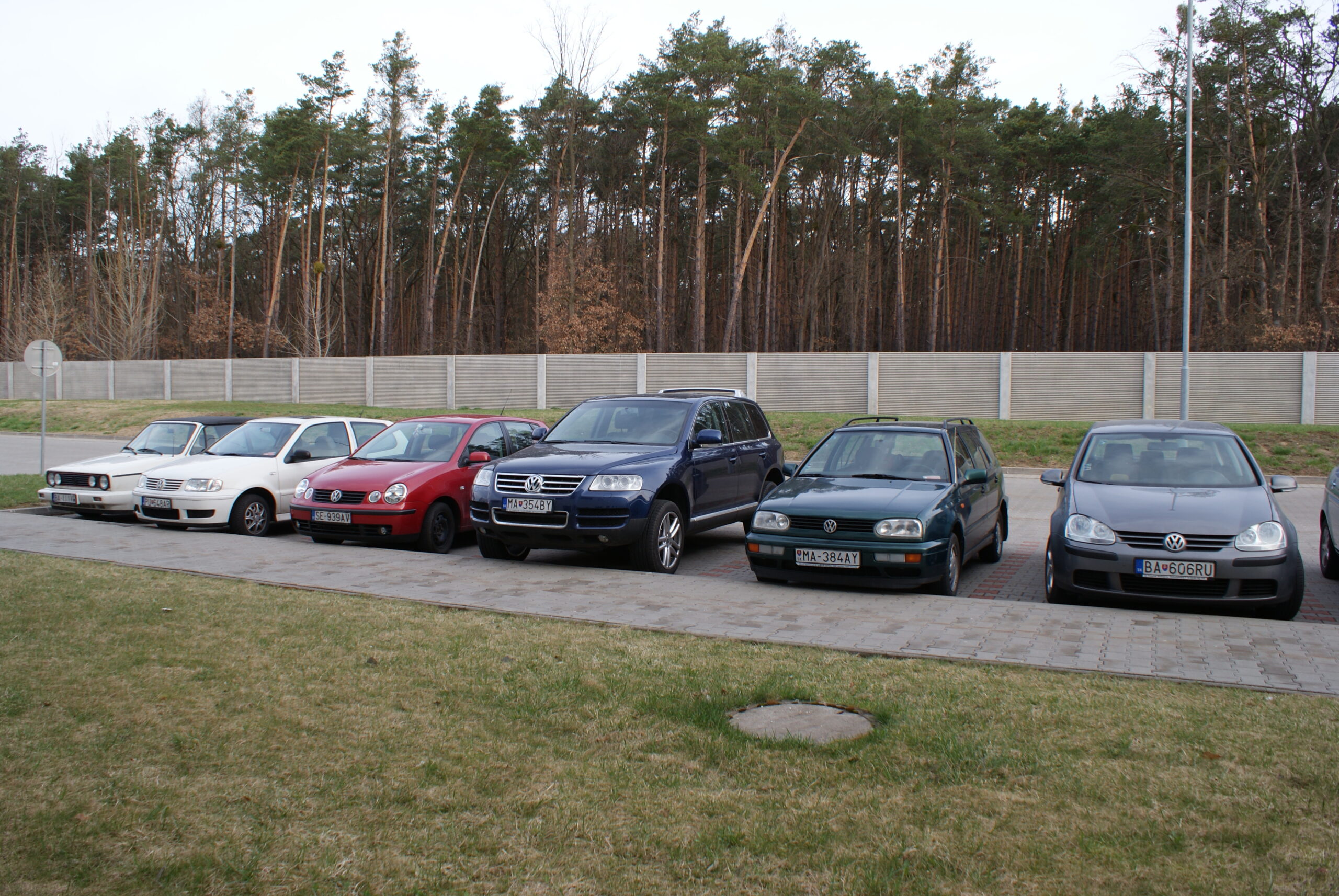 faureciani – vw friends